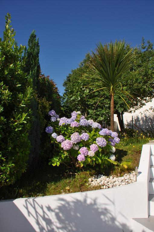 Chez Phil Et Dom Bed & Breakfast Biarritz Exterior photo