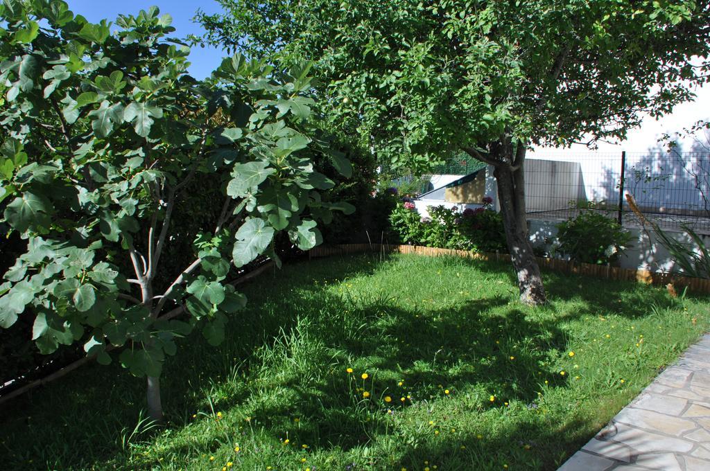 Chez Phil Et Dom Bed & Breakfast Biarritz Exterior photo